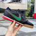 Футзалки NIKE SB Gato Bruno 355