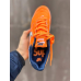 Футзалки NIKE SB Gato Perecladyna 4516