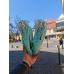 Футбольні  Бутси Nike Air Zoom Mercurial Vapor XVI Elite FG Ecipereichen 21
