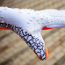 Воротарські рукавички Adidas Predator