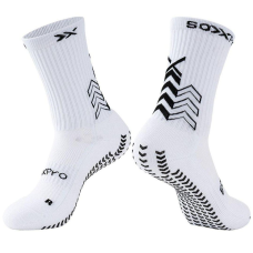 Фірмові спортивні компресійні шкарпетки SOXPro Classic 39-45 Ecipereichen
