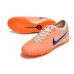 Сороконожки Nike Tiempo Legend X Academy TF